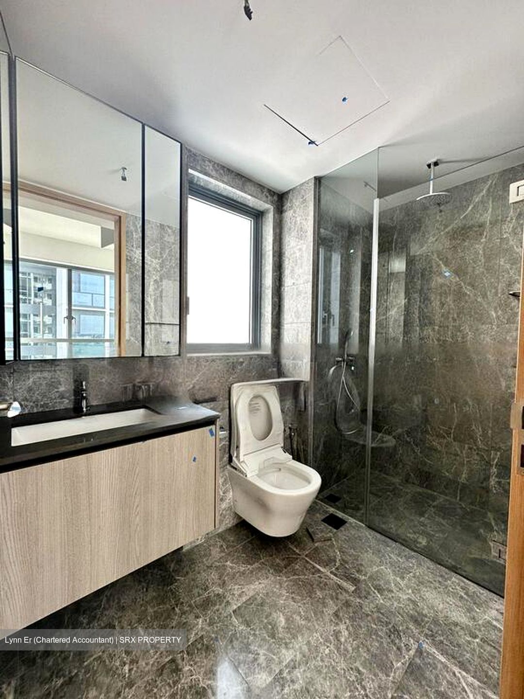 One Holland Village Residences (D10), Apartment #448263161